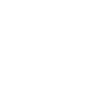Epic Black Car logo